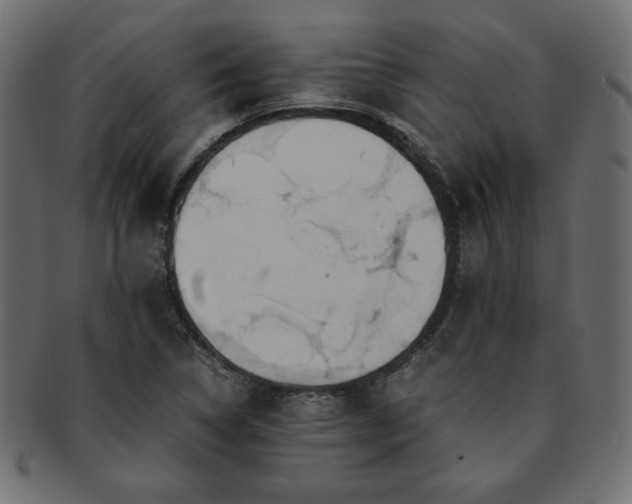 X0000093241314200710031554