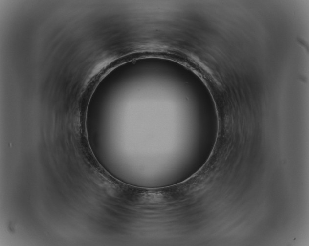 X0000093241315200710031554