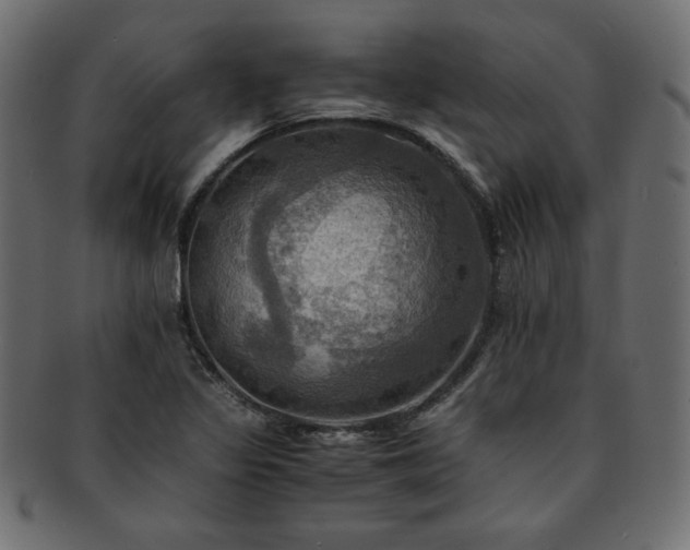 X0000093241317200710031554