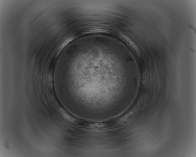 X0000093241321200710031554