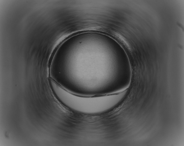 X0000093241324200710031554