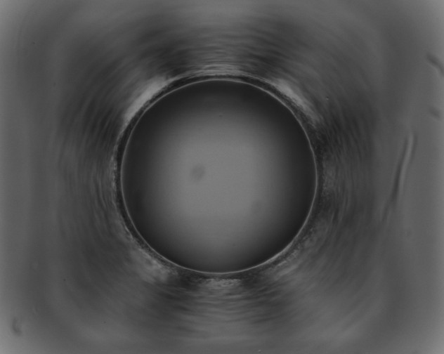 X0000093241325200710031554