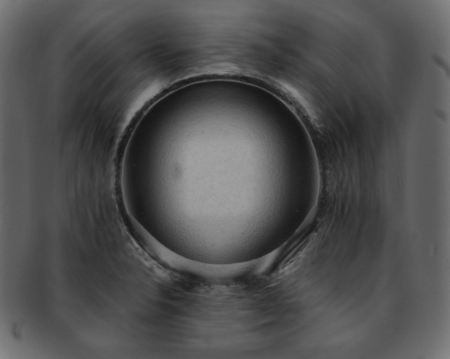 X0000093241326200710031554