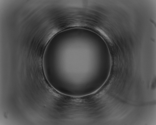 X0000093241329200710031554