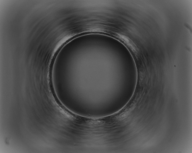 X0000093241331200710031554