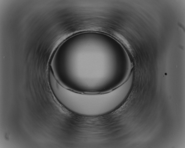 X0000093241332200710031554