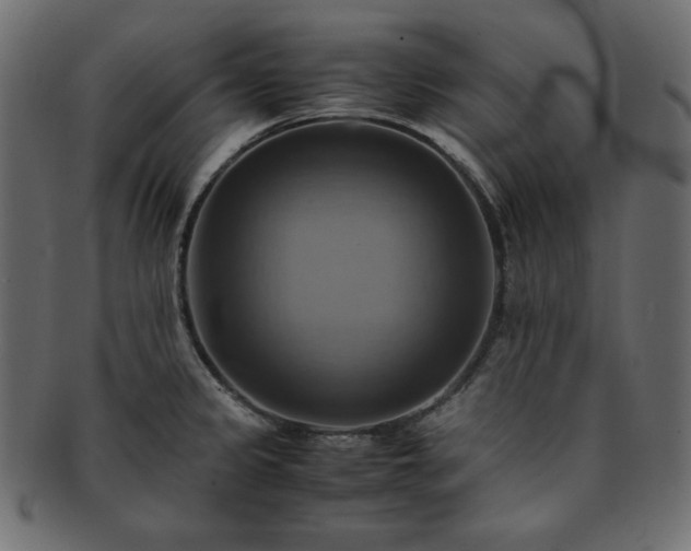 X0000093241333200710031554