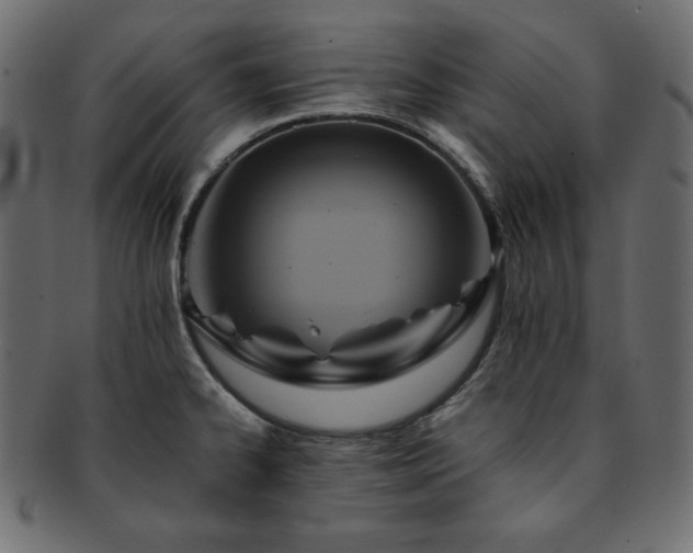 X0000093241334200710031554