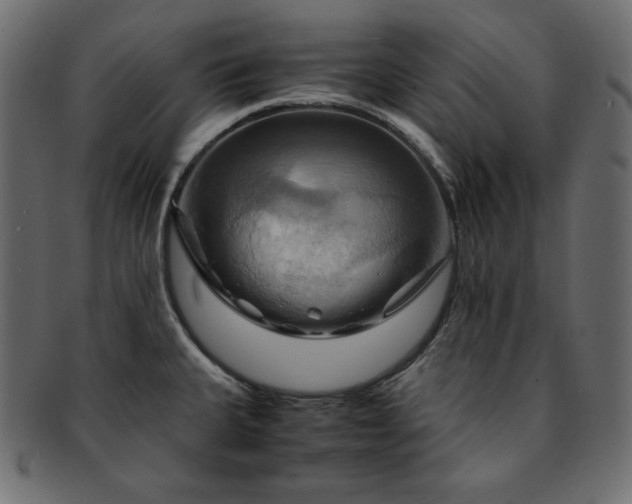 X0000093241335200710031554