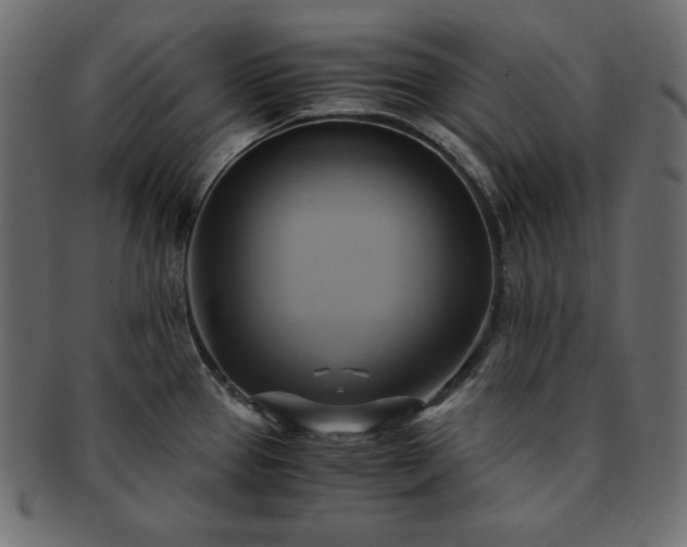 X0000093241337200710031554