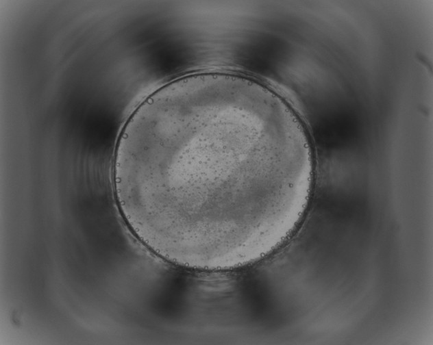 X0000093241338200710031554