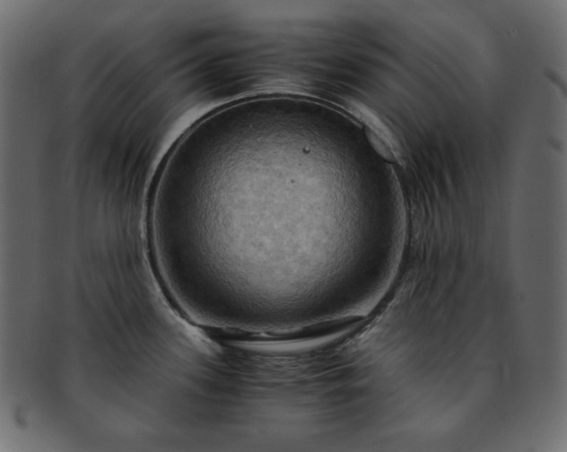 X0000093241339200710031554