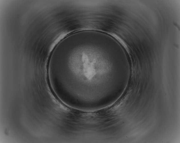 X0000093241341200710031554