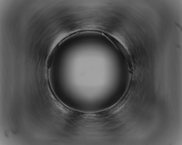 X0000093241342200710031554