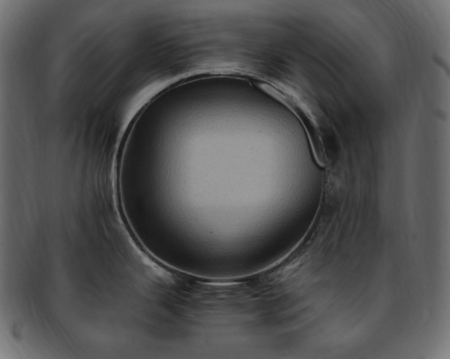 X0000093241343200710031554