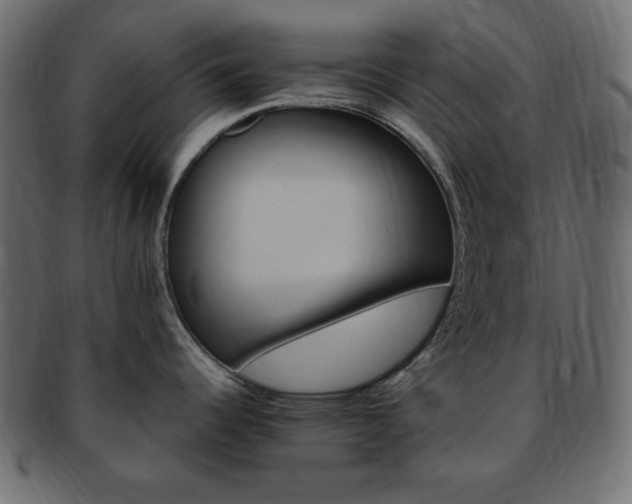 X0000093241344200710031554