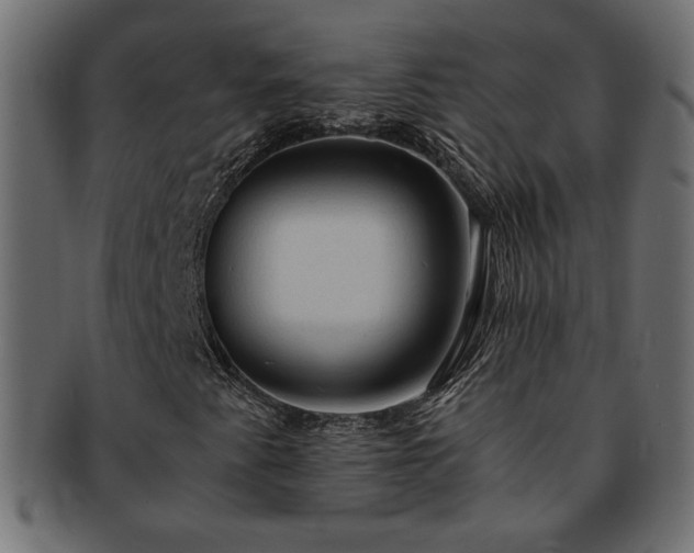 X0000093241345200710031554