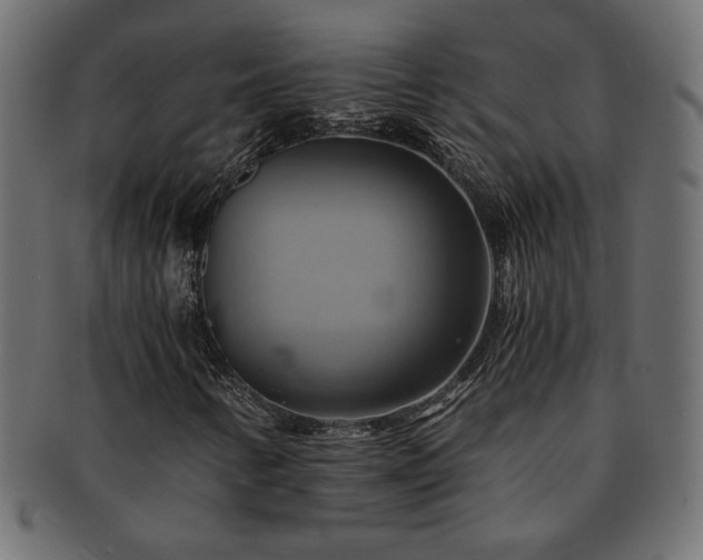 X0000093241346200710031554