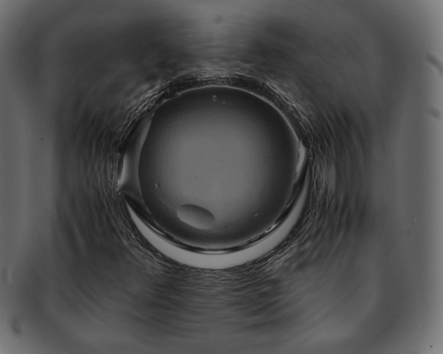 X0000093241348200710031554