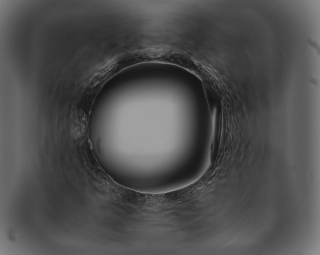 X0000093241349200710031554