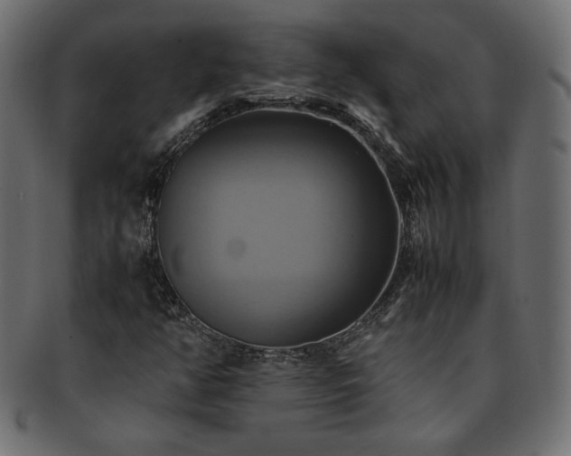 X0000093241350200710031553