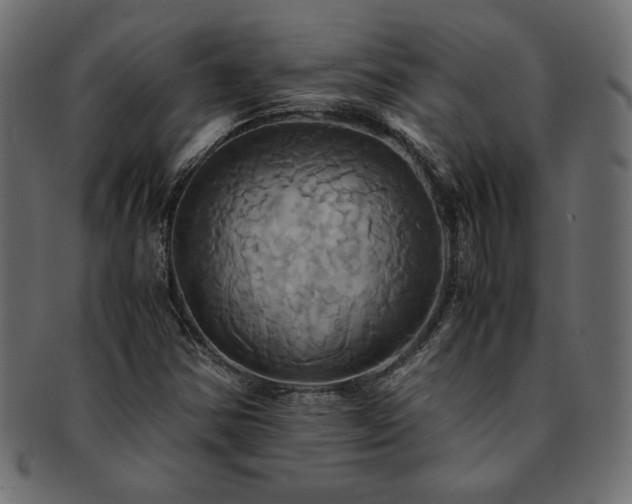 X0000093241354200710031553