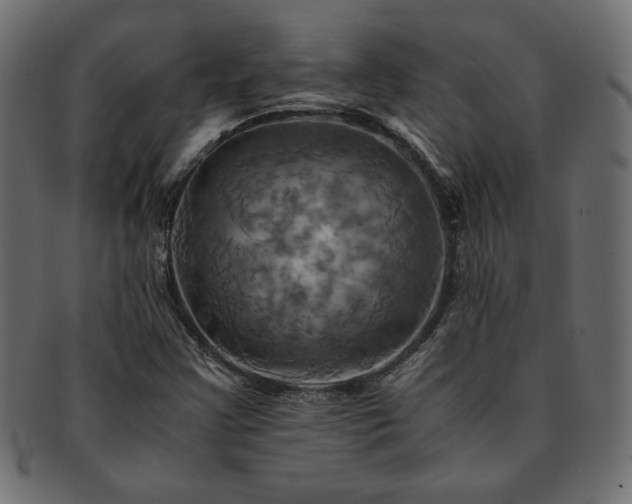 X0000093241355200710031553