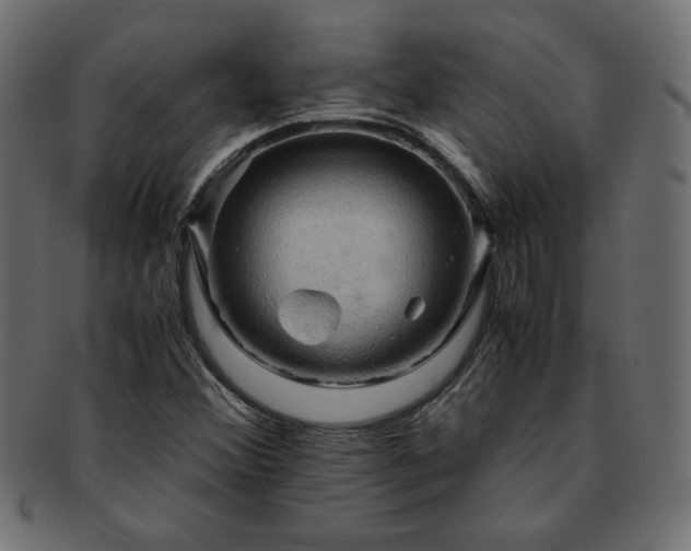 X0000093241356200710031553