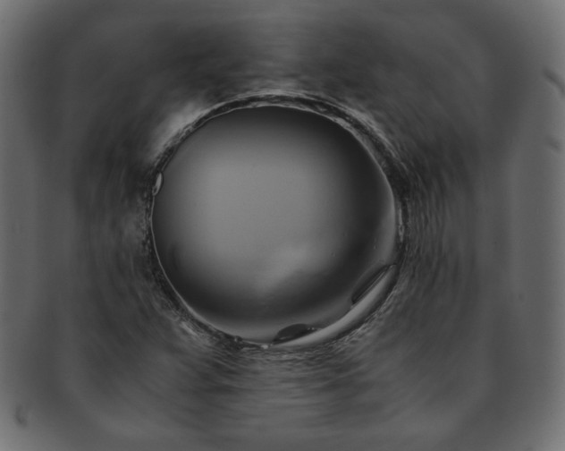 X0000093241359200710031553