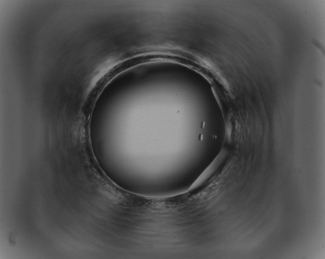 X0000093241360200710031553