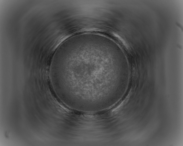 X0000093241361200710031553