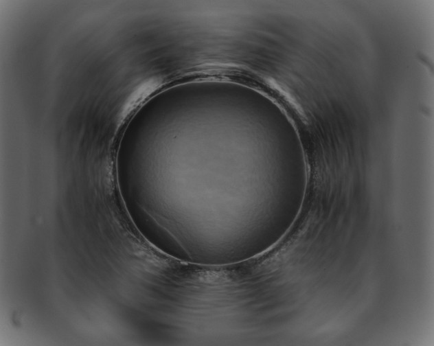 X0000093241362200710031553