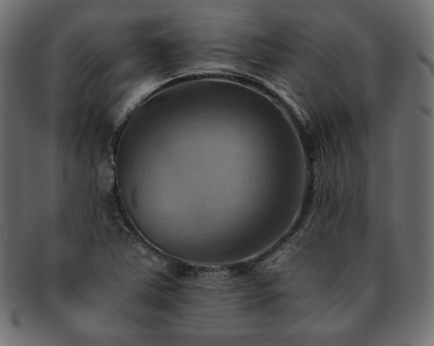 X0000093241363200710031553