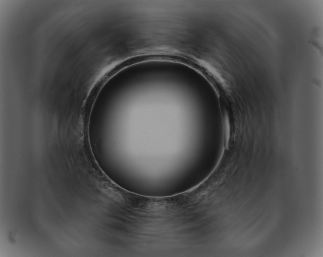 X0000093241364200710031553