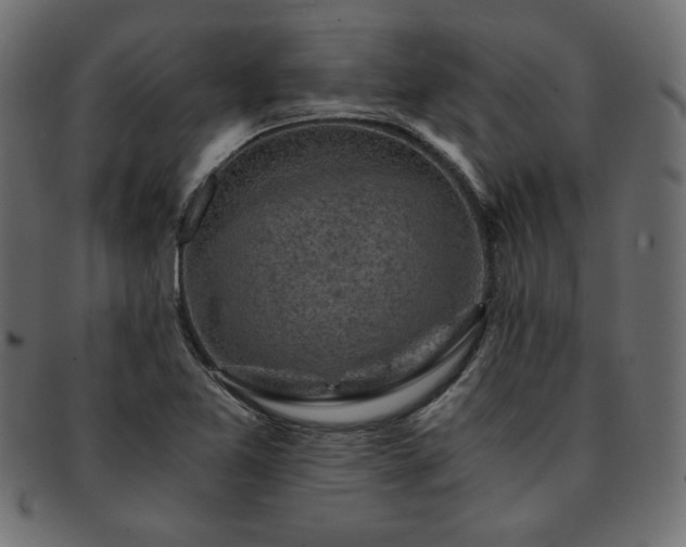 X0000093241365200710031553