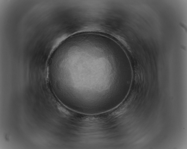 X0000093241366200710031553