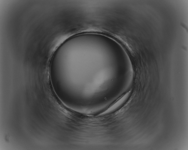 X0000093241367200710031553