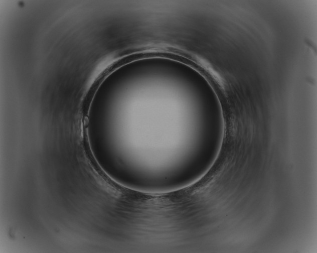 X0000093241368200710031553