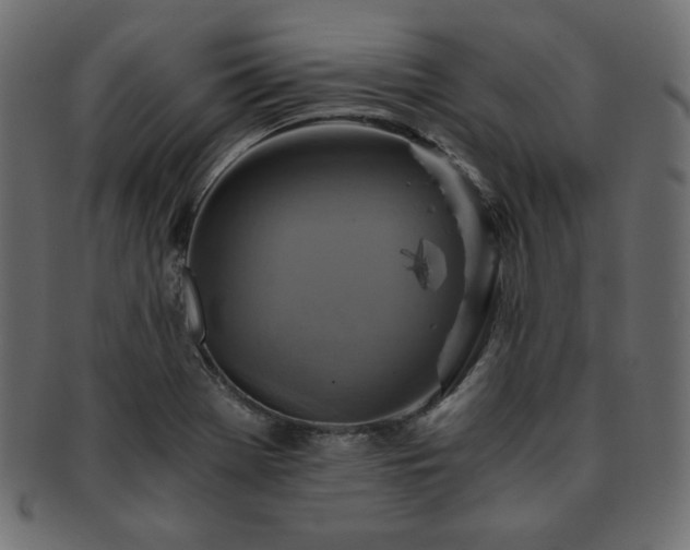 X0000093241369200710031553