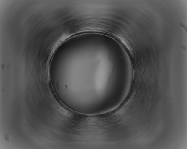 X0000093241371200710031553