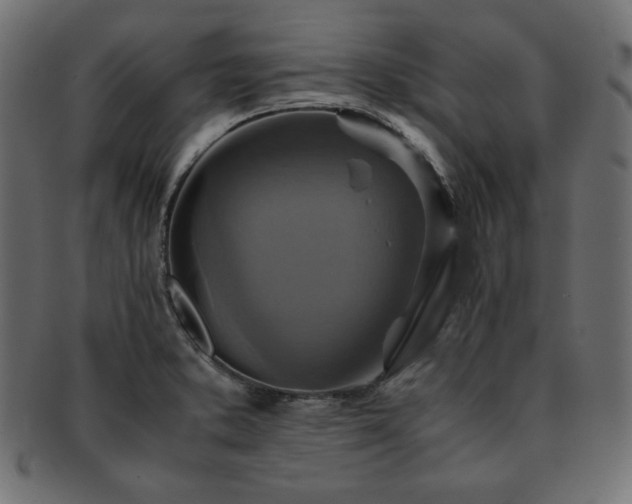 X0000093241373200710031553