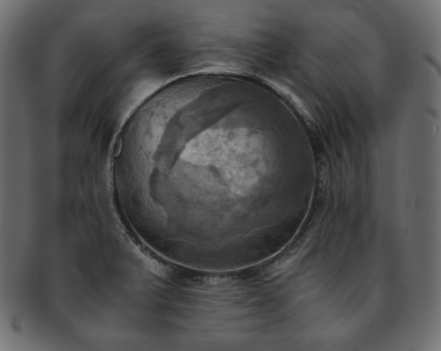 X0000093241375200710031553