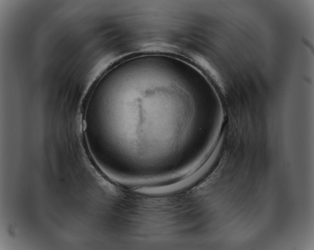 X0000093241376200710031553