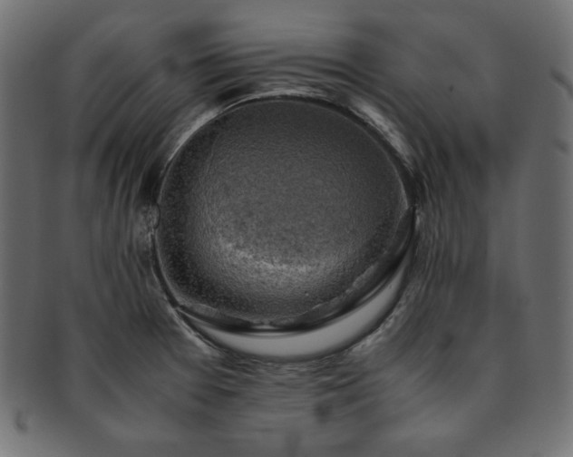X0000093241377200710031553