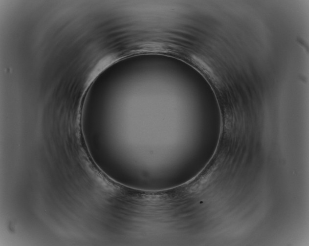 X0000093241378200710031553