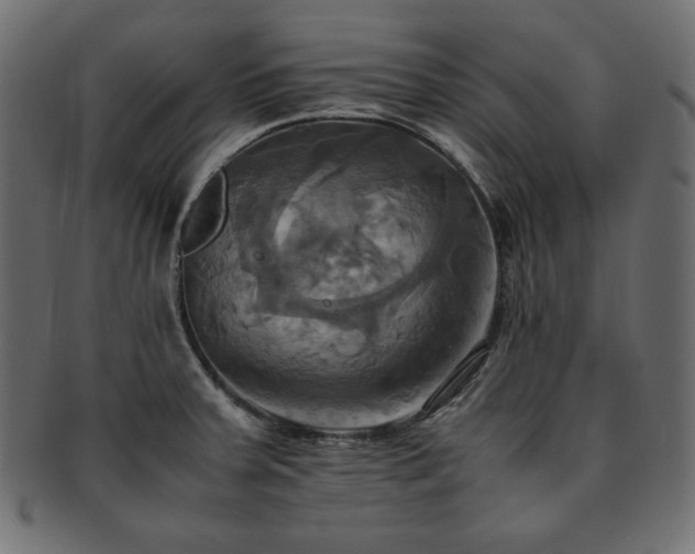X0000093241379200710031553