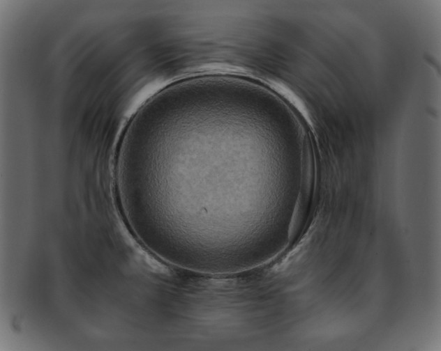 X0000093241381200710031553