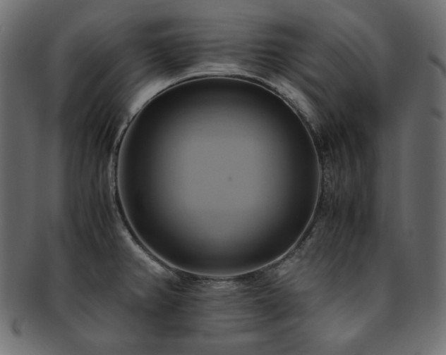 X0000093241382200710031553
