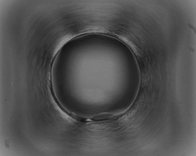 X0000093241383200710031553