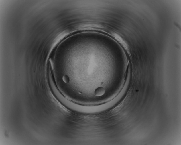 X0000093241384200710031553